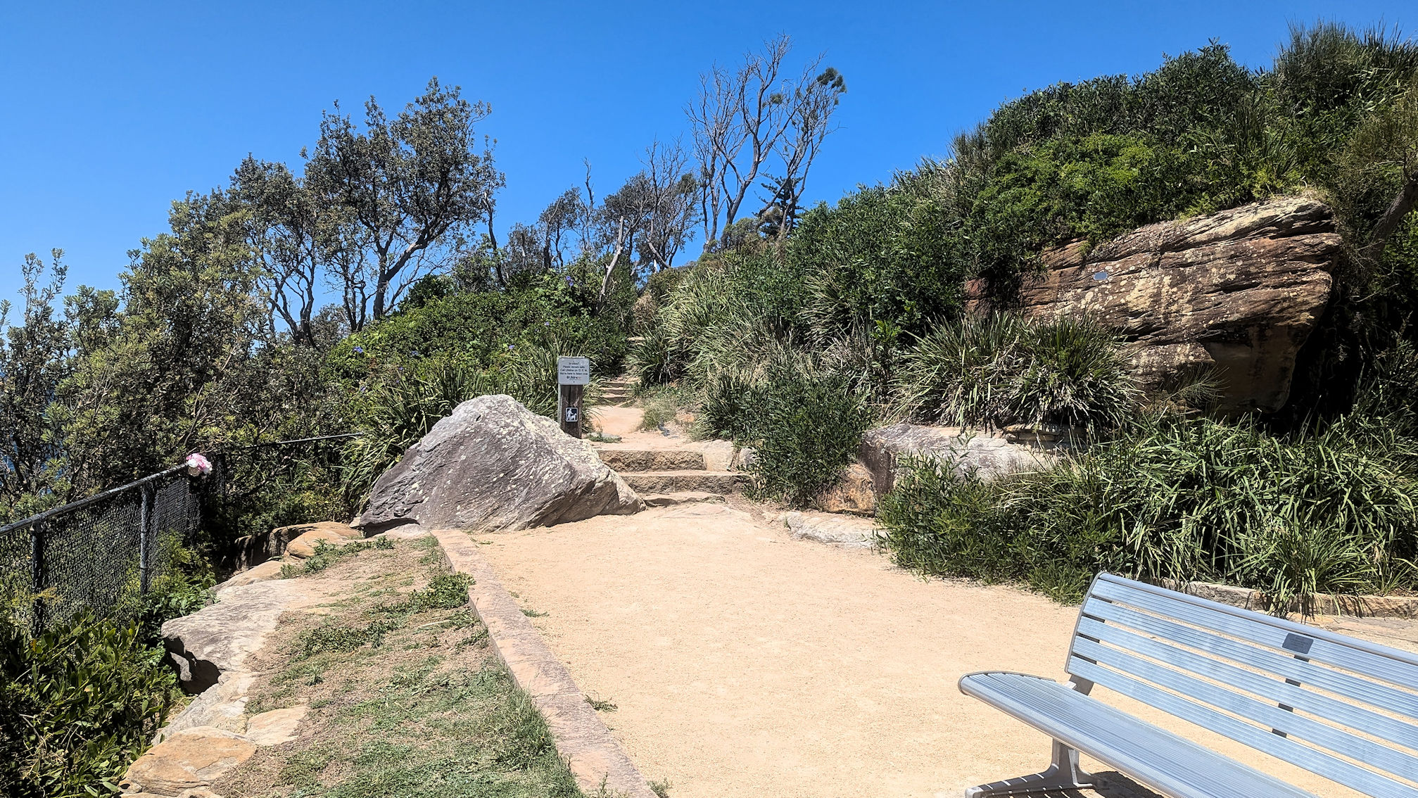 dy_curlcurl track (1)